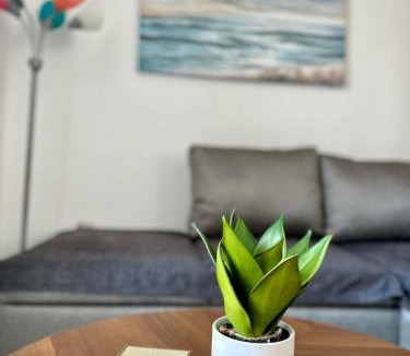 Ixtapa Apartment | Amplio y lujoso departamento en Ixtapa