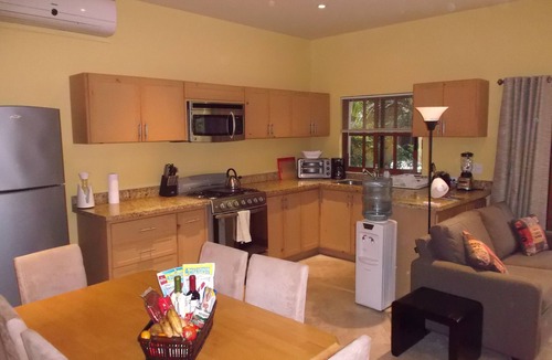 Downtown San Jose del Cabo Apartment | APARTMENT ONE AT CASA DE SUENOS