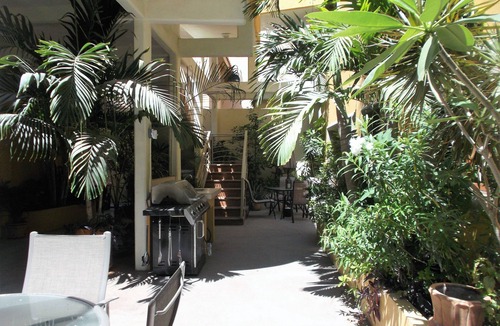 Downtown San Jose del Cabo Apartment | APARTMENT ONE AT CASA DE SUENOS
