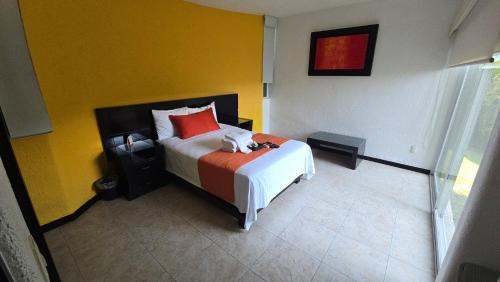 Queretaro Hotel | Apartment with Pool, Gym & A/C Suite