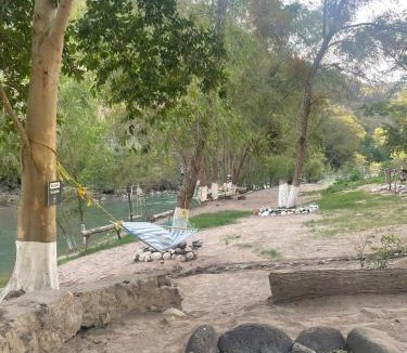 Conca Other | Aqua Vive