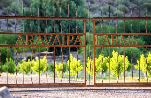 Mammoth Cabin | Aravaipa Treehouse | Farm Stay AZ