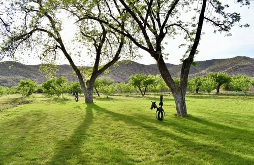Mammoth Cabin | Aravaipa Treehouse | Farm Stay AZ