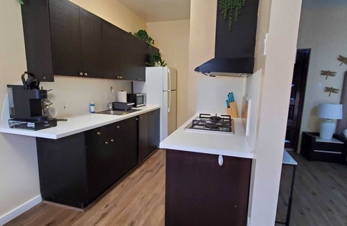 Wilshire Center Apartment | Audrey Studio Apartment in Koreatown