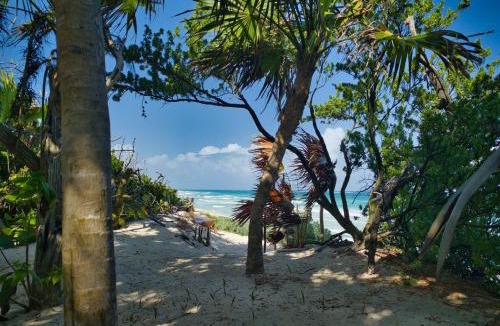 Jimenez Villa | Beachfront Villa Pools & Concierge in Sian Kaan