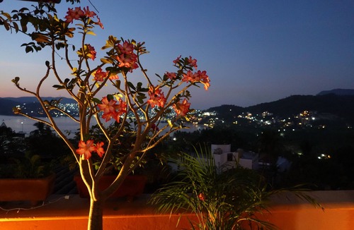 Playa Las Gatas House | Beautiful Condo With Gorgeous Ocean View 5 Min Walk from the best beach in Zihua