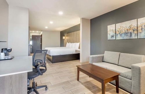 Edinburg Hotel | Best Western Plus Edinburg Inn & Suites