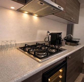 Providencia Apartment | Bowra Milan Providencia Studio 4