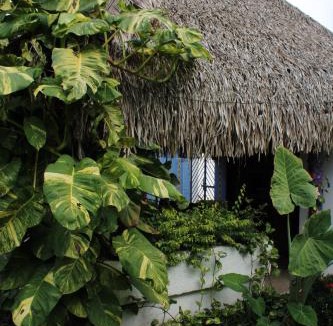 Lo de Marcos Hotel | Bungalows Las Tortugas