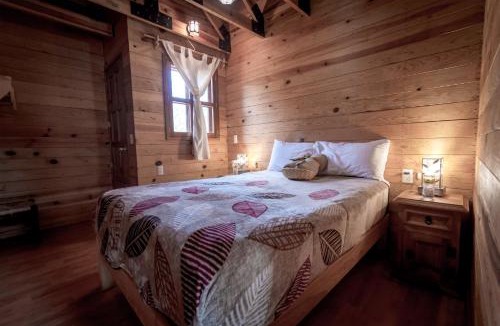 Mascota Ski Chalet | Cabaña Encino para 10 personas en medio del bosque mascotense