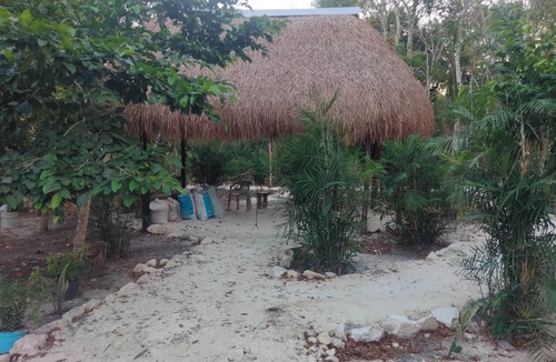 Xpujil Cabin | Cabañas la orquídea