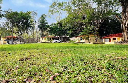 Palenque Hotel | Cabañas Marisol