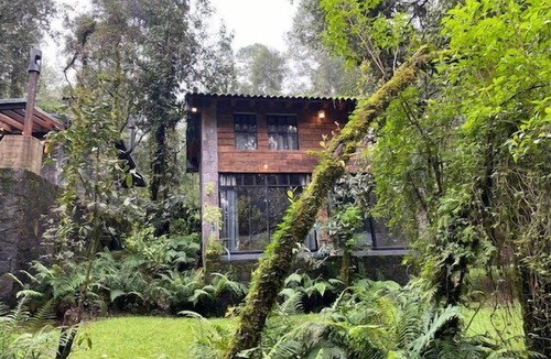 Valle de Bravo Cabin | CABANA en el bosque TRANQUILIDAD ABSOLUTA, UNICO