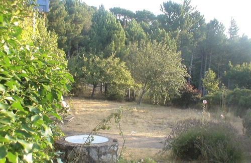 Porto-Vecchio House | calm freshness in the mountains just 30 minutes from the sea, in the Corsican Natural Park