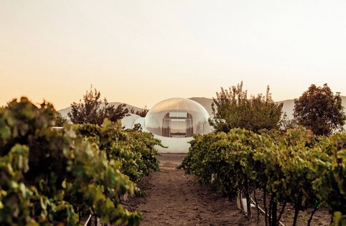 Valle de Guadalupe RV Rental | Campera Hotel Burbuja VDG