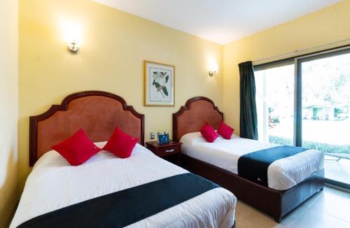 Leon Hotel | Capital O Hotel Vitale Leon MX