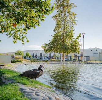 Tlajomulco de Zuniga House | Casa al Sur de Guadalajara con Alberca, Lago, Gym, Parque y Vista al bosque en Salida a Morelia López Mateos