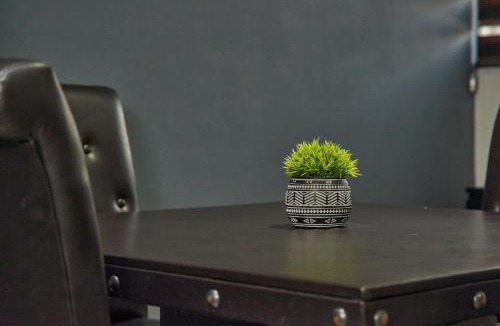 Ciudad Guzman House | Casa almendros 31