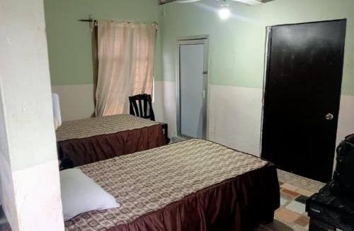 Linares House | Casa Cactus, Linares