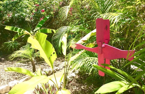 Akumal House | CaSa in Akumal Jungle with Common Pool