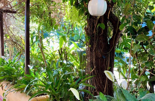 Comala Cottage | Casa Jazmín by Comalli Comala Magical Town, Mexico