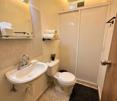 Ocotlan House | Casa mezquite