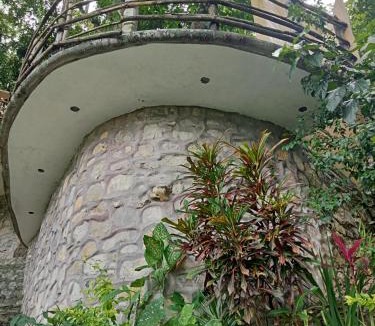 Xilitla Hotel | Casa Musgo