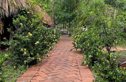 Tonala Cabin | Casa Nuuk in Bokané: ecotourism center among mangroves, estuary and sea in Chiapas