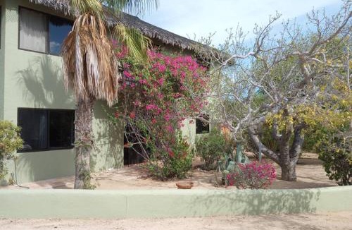 Cabo Pulmo Villa | Casa Pájaros - Private 2-Story Home