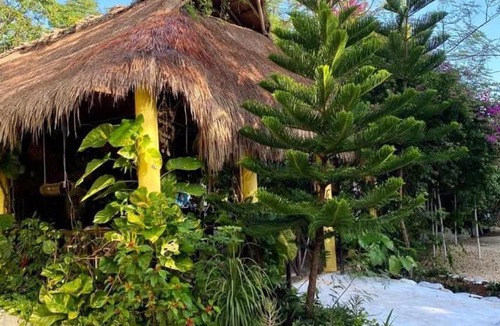 Lazaro Cardenas Apartment | Casita de Jungle