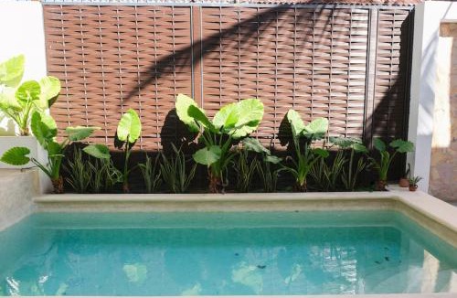 Downtown Mazatlan Apartment | Central Business Trip and Couples 1BR 1BA Office