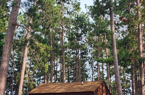 Park Rapids Cabin | Charming 1-bedroom cabin in wonderful Park Rapids area with AC & WIFI.