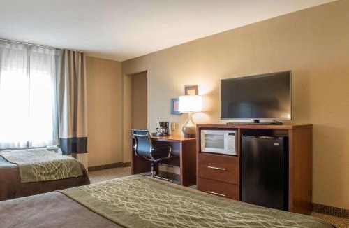 Edinburg Hotel | Comfort Inn Edinburg South