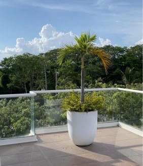 Puerto Vallarta Hotel | Container Inn Hotel Aeropuerto