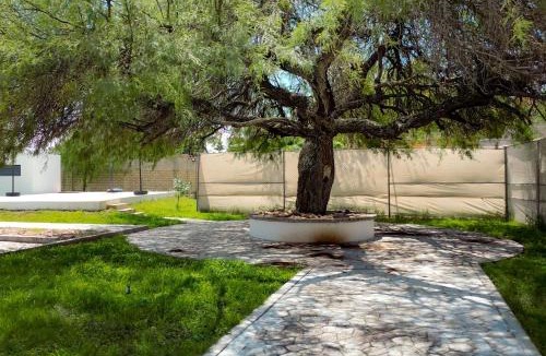 Aguascalientes Apartment | Coyotes Housing Services - Torres Departamentales