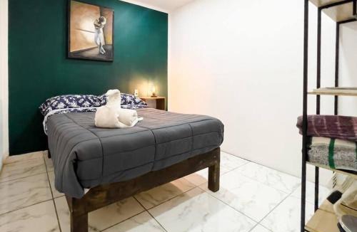 San Luis Potosi Apartment | Cozy Apartment 10 min from downtown