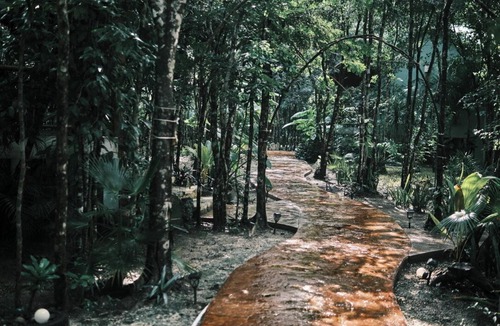 Cozumel Cabin | Cozy Jungle Retreat- Hot tub, Private Pool & Breakfast - 5 mins to Beach