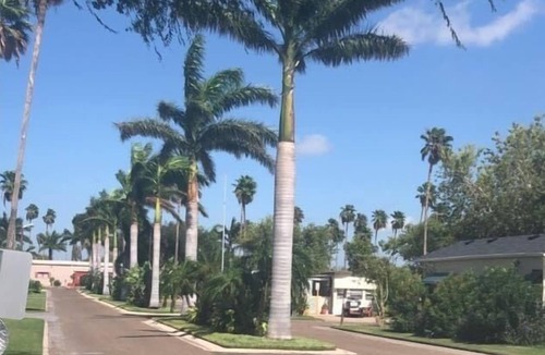 Mission House | Cute remodeled Rv in adult resort community