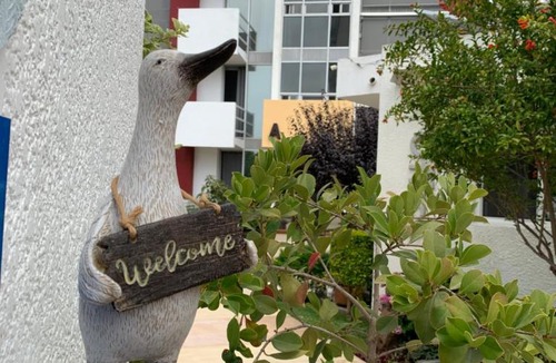 Playas de Tijuana Apartment | Dali Suites -Accommodations in Playas de Tijuana