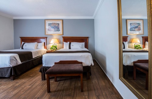 Zona Minerva Hotel | Del Marqués Hotel and Suites