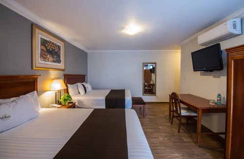 Zona Minerva Hotel | Del Marqués Hotel and Suites