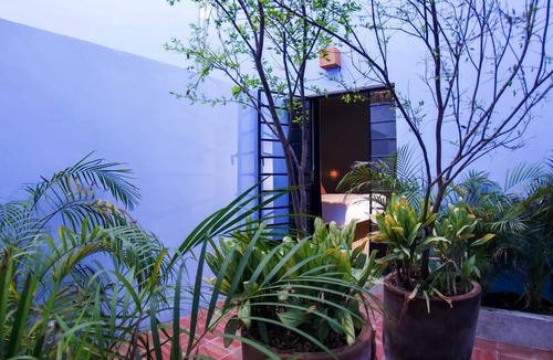 Lafayette Apartment | Demetria Bungalows