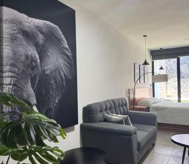Colima Apartment | Departamento Colima 1
