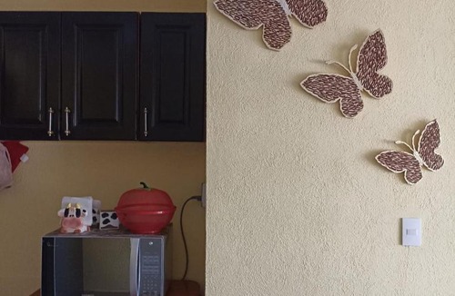 Guadalajara Apartment | Departamento Tapatío