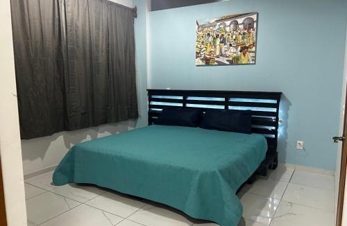 Chapala Centro Apartment | Departamentos colibri y tortuga