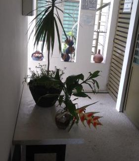 Palenque Apartment | Departamentos de la Reina Roja