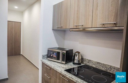 Centro Historico Apartment | Department Zuñiga 102