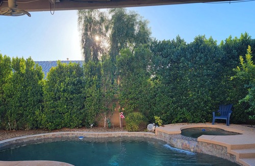 Avondale House | Desert Oasis. Backyard Resort, Pool, Hot Tub, outdoor kitchen.