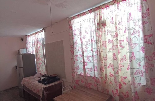 Guadalupe Apartment | Detached Mini Apartment Between Airport and Fundidora/Stadium