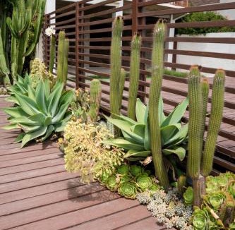 Chapultepec Apartment | Dream sunset view! Skyview Ensenada B